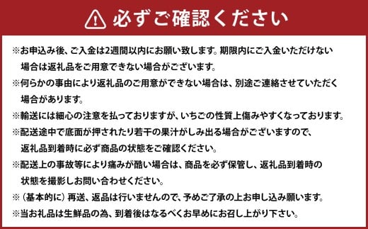 化粧箱入り プレミアムあまおう 約400g×1パック【ギフト・お祝い・贈答用】【2026年2月上旬～2026年4月上旬発送予定】 EX いちご イチゴ 苺 あまおう EXグレード 果物 くだもの フルーツ 福岡県 太宰府市