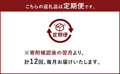 【 12ヶ月定期便 】【老舗人気店】博多本格もつ鍋セット 2～3人前 モツ モツ鍋 冷凍 国産 鍋 定期便