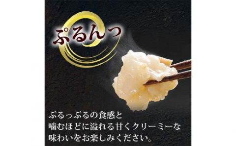 【9月30日で受付終了】もつ鍋・明太子セット 牛もつたっぷり800g！大容量8人前(あごだし醤油味) もつ鍋セット やまやの明太子付き！