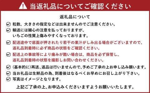 【2024年3月上旬より発送開始】【予約受付・3回定期便】 あまおう 贅沢セット No2 冷凍あまおう あまおうレアチーズケーキ フルーツ 果物