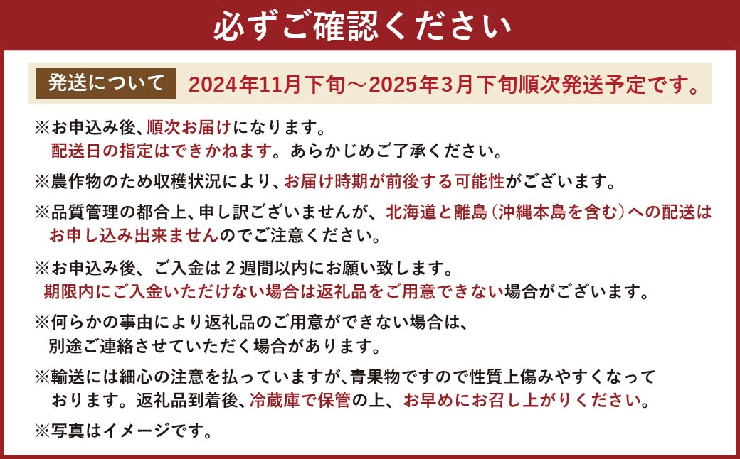 福岡県産 あまおう ギフト箱 12-15粒 約300g いちご 苺 フルーツ 国産【2024年11月下旬～2025年3月下旬発送予定】