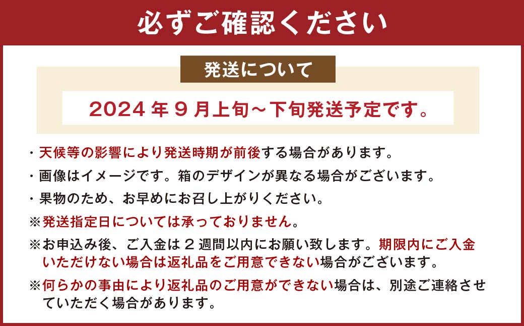 福岡県産 極早生みかん 早味かん 約4kg みかん ミカン フルーツ 果物 国産【2024年9月上旬～下旬発送予定】