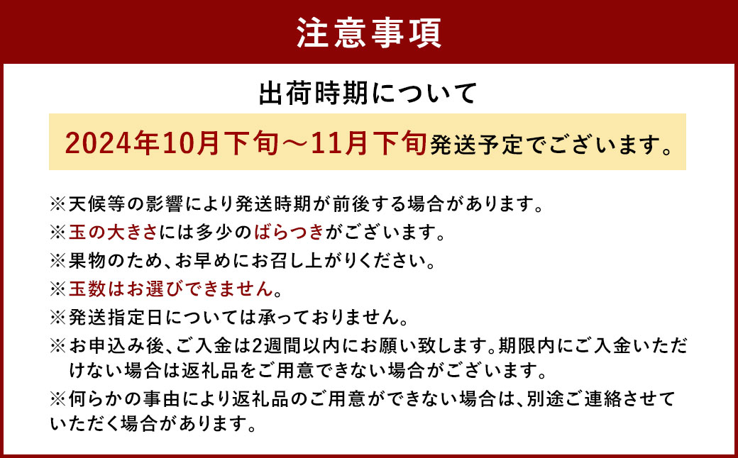 福岡県産 ブランドキウイ 甘うぃ 約3kg （24-33玉） キウイ キウイフルーツ フルーツ 果物 国産【2024年10月下旬～11月下旬発送予定】
