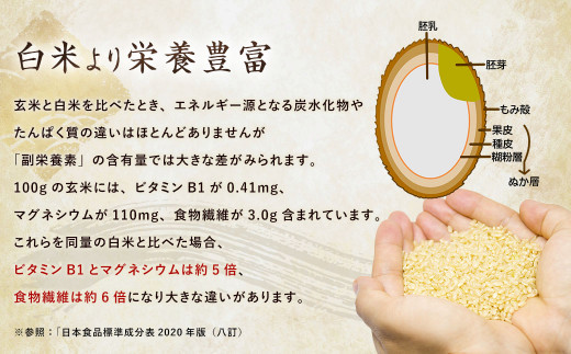 夢つくし 玄米 PREMIUMパック 160g×24パック