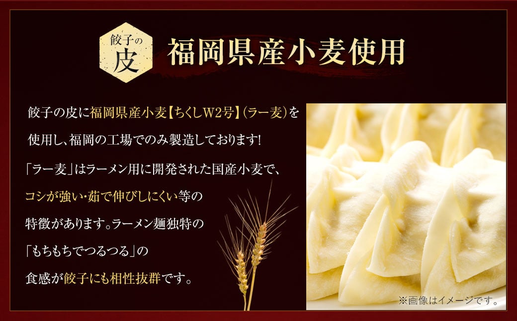訳あり！ちょっと大きめ 国産 生餃子 (ラー麦使用) 100個 2kg ＆ 辛子明太子 小切り 300g セット ぎょうざ ギョウザ めんたいこ 冷凍