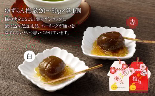 令和の都だざいふ梅プロジェクト 返礼品詰合せ 6点セット