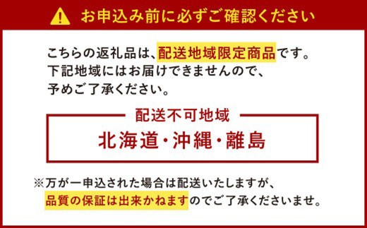 【特別栽培/有機質肥料/アフター保証】うるう農園 あまおう サイズ色々 4パック （約1140g）【2025年12月上旬～2026年1月下旬発送予定】 いちご イチゴ 苺 フルーツ 果物