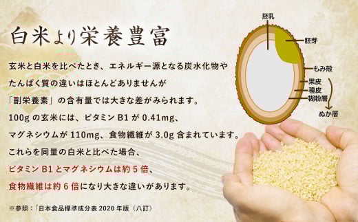 【6ヶ月定期便】夢つくし 玄米 PREMIUMパック 24パック×6回