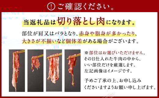 訳あり 佐賀牛 切り落とし 600g
