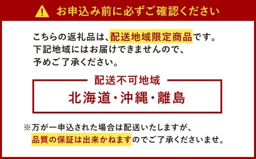 【2回定期便】 うるう農園のあまおう サイズ色々2パック（計約570g） 【2026年3月上旬～4月下旬発送予定】 あまおう いちご 苺 果物 フルーツ 定期便 冷蔵 福岡県 太宰府