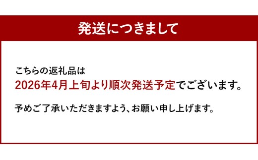 福岡県産 濃厚あまおう ジェラート 1000ml