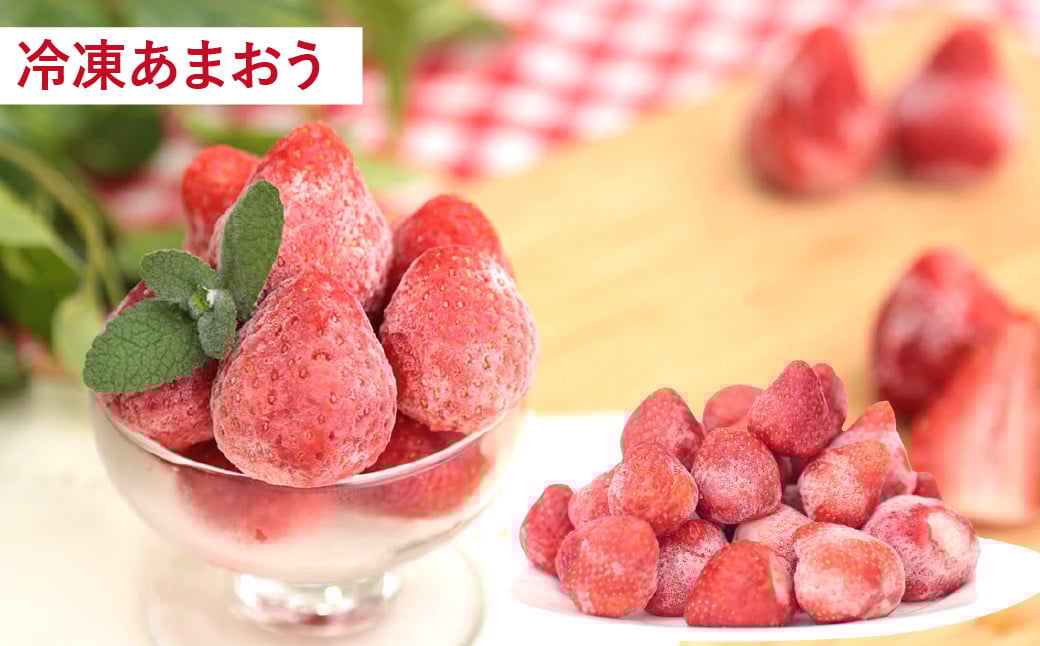 【2024年3月上旬より発送開始】【予約受付・3回定期便】あまおう 贅沢セット いちご イチゴ フルーツ 果物