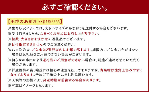 【1月～2月発送】【訳あり・小粒】 あまおう 約280g×4パック 約1120g【2026年1月上旬～2026年2月下旬発送予定】いちご イチゴ 苺 フルーツ
