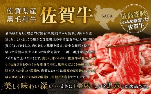 博多和牛 焼肉用 500g ＋ 佐賀牛 切り落とし 400g 計900g（計2パック） 牛 和牛 牛肉 お肉 肉 にく 切落し 赤身 肩肉 バラ肉 冷凍