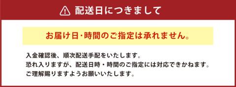 【一蘭】至高の逸品そろい踏み 一蘭ラーメン食べ比べセット ちぢれ麺 細麺 各5食×各2セット