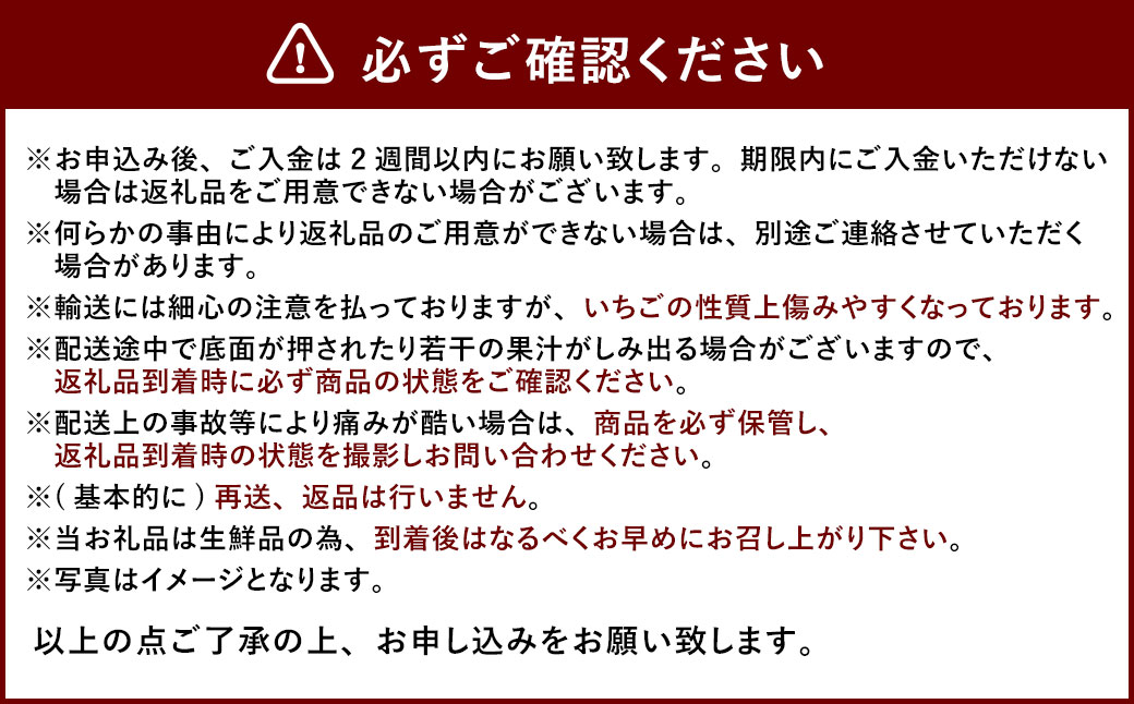 大粒 あまおう 4パック【2025年2月上旬～4月上旬発送予定】