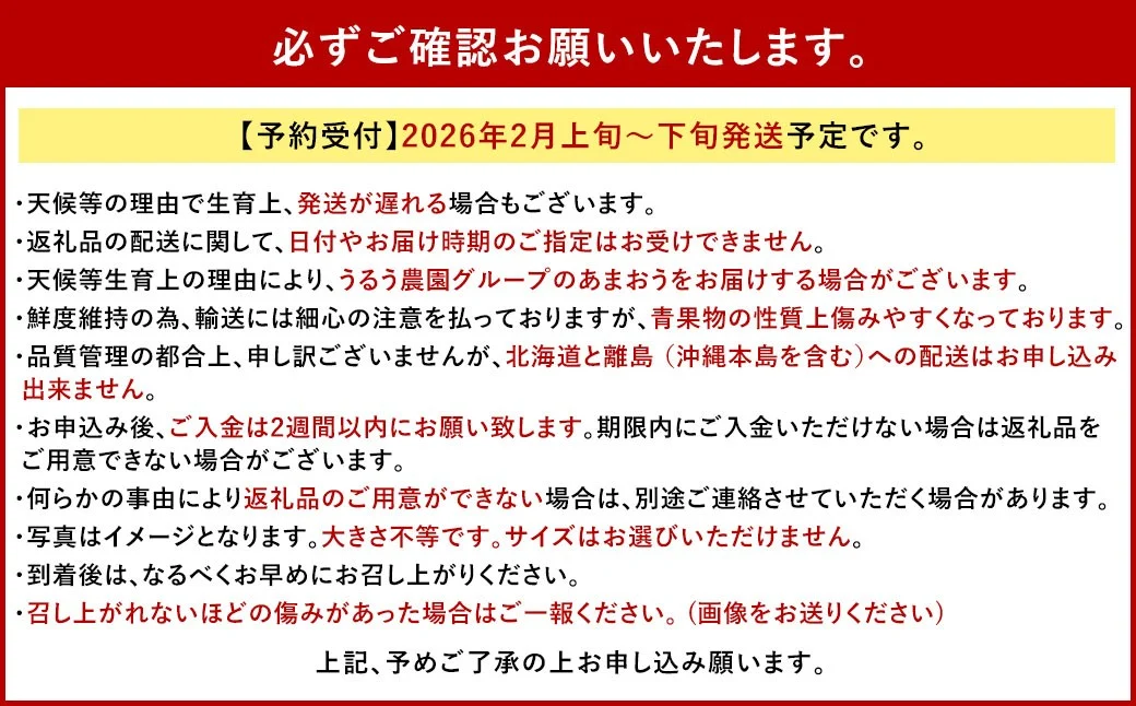 あまおうサイズ色々 約570g（約285g×2パック）【2026年2月上旬発送予定】あまおう いちご 苺 イチゴ フルーツ 果物