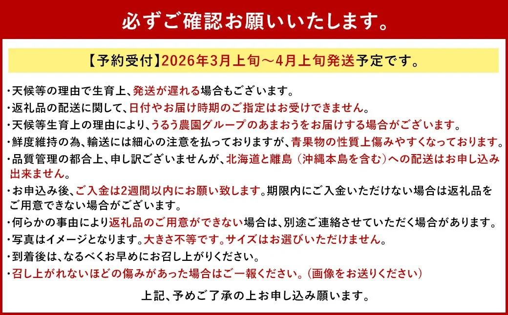 あまおうサイズ色々 約570g（約285g×2パック）【2026年3月～4月上旬発送予定】あまおう いちご 苺 イチゴ フルーツ 果物