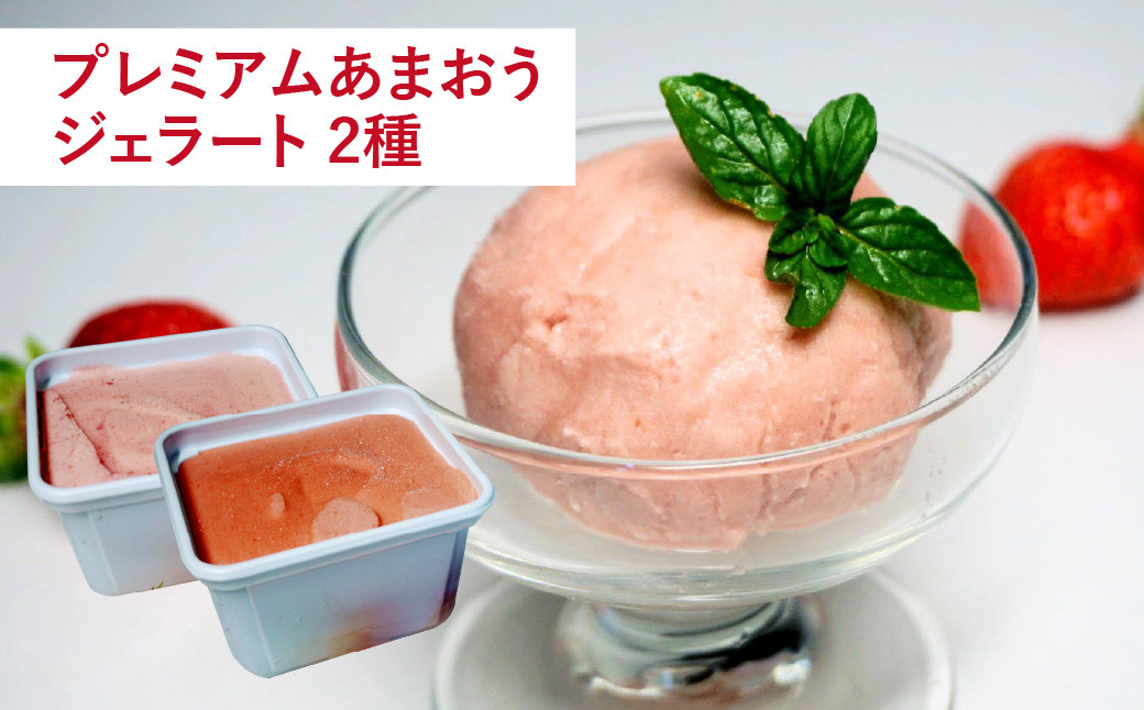 【2024年3月上旬より発送開始】【予約受付・3回定期便】あまおう 贅沢セット いちご イチゴ フルーツ 果物