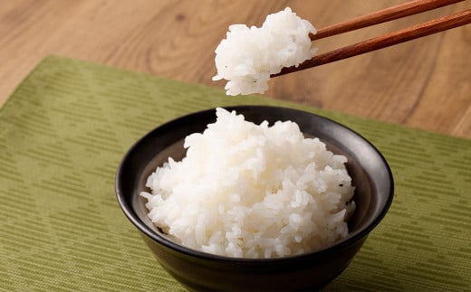 テーブルマーク 元気つくし パックごはん 150g×32食入り 合計4.8kg