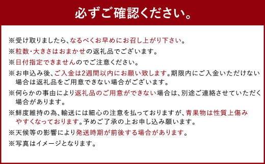 【3月～4月発送】いちごの王様 あまおう 約280g×4パック 約1120g【2026年3月上旬～2026年4月上旬発送予定】 いちご イチゴ 苺 フルーツ