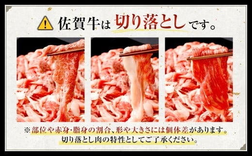博多和牛 ステーキ （ヒレ） 6枚 （計約900g） ＋ 佐賀牛 切り落とし 400g ／ 黒毛和牛 黒毛和種 和牛 牛肉 お肉 肉 ヒレ肉 セット 国産 九州 福岡県 太宰府市 冷凍