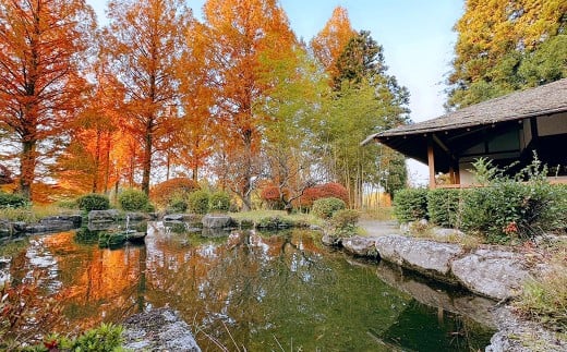 太宰府ゴルフ倶楽部 ゴルフ利用券 30,000円分 ／ ゴルフ ゴルフ場 ゴルフ場利用券 チケット 券 ゴルフプレー スポーツ 九州 福岡県 太宰府市