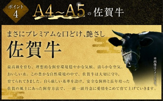 【2025年9月初登場】 佐賀牛 リッチな霜降り 大判 切り落とし 1kg （500g×2） ／ 黒毛和牛 黒毛和種 和牛 牛肉 お肉 肉 霜降り 九州 福岡県 太宰府市 冷凍