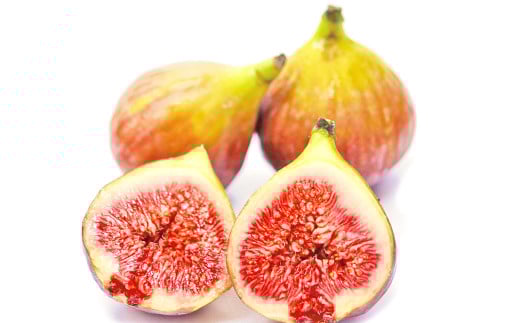 福岡県 ブランド いちじく「博多とよみつひめ」4パック フルーツ 果物 くだもの【2026年8月下旬～2026年10月下旬発送予定】