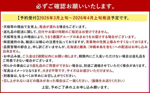 うるう農園のあまおう 4パック ＋ 1パック 合計5パック（約1425g） 訳あり あまおう （小粒・いびつ・大型） 【2026年3月上旬～4月上旬発送予定】 苺 いちご イチゴ 果物 フルーツ デザート 冷蔵