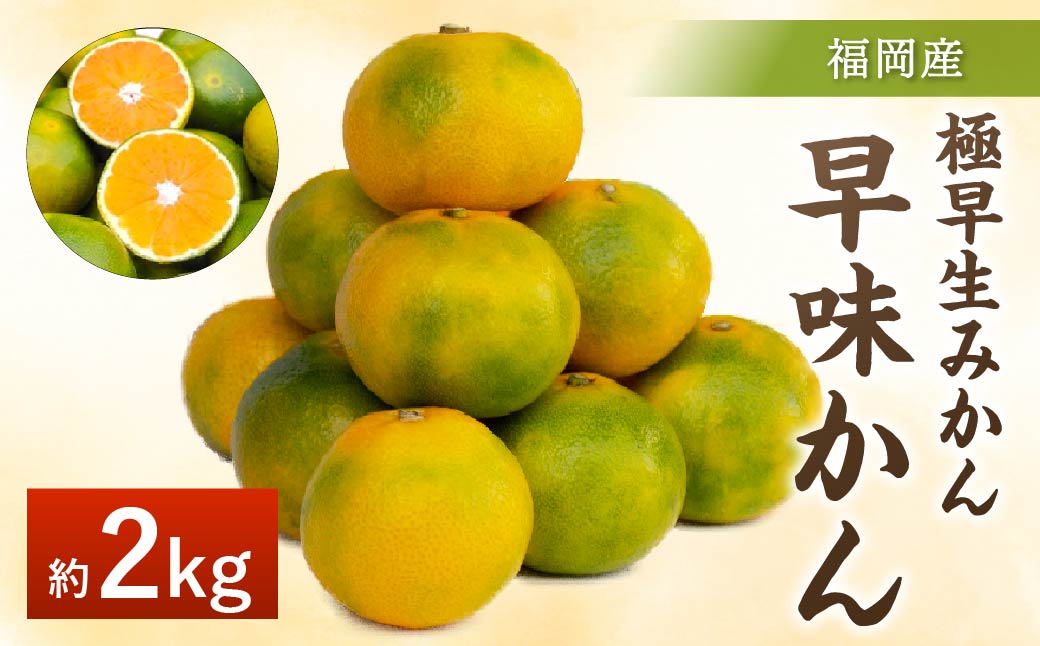 福岡県産 極早生みかん 早味かん 約2kg みかん ミカン フルーツ 果物 国産【2024年9月上旬～下旬発送予定】