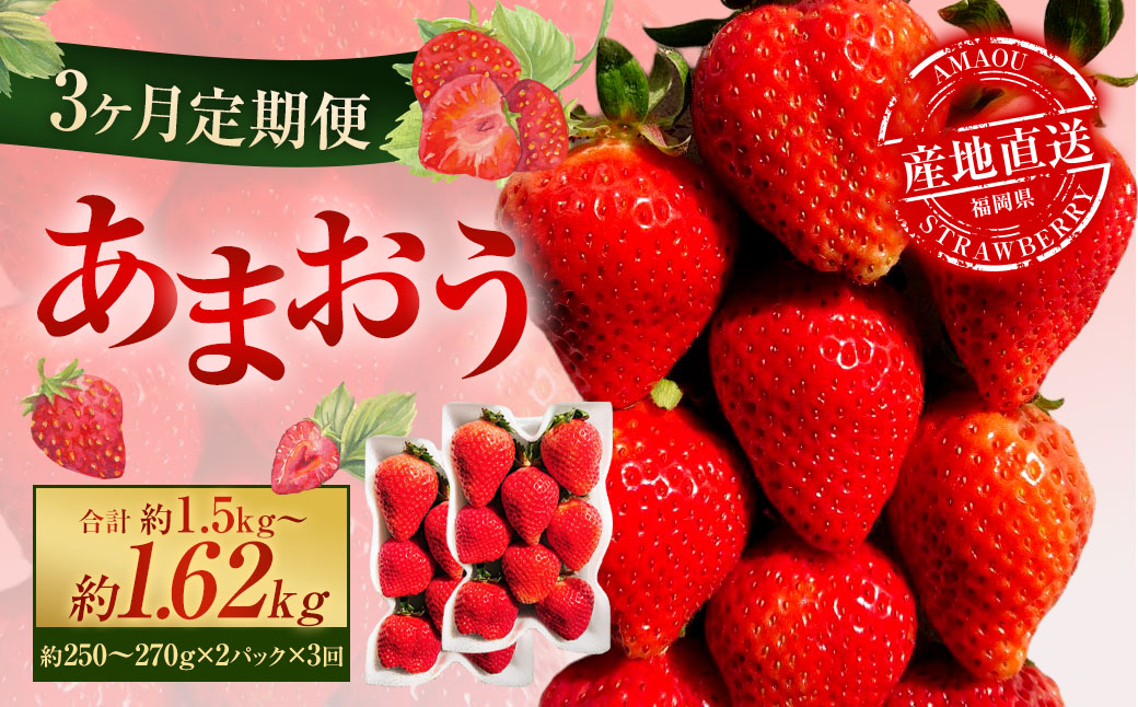 【3ヶ月定期便】あまおう2パック×3回