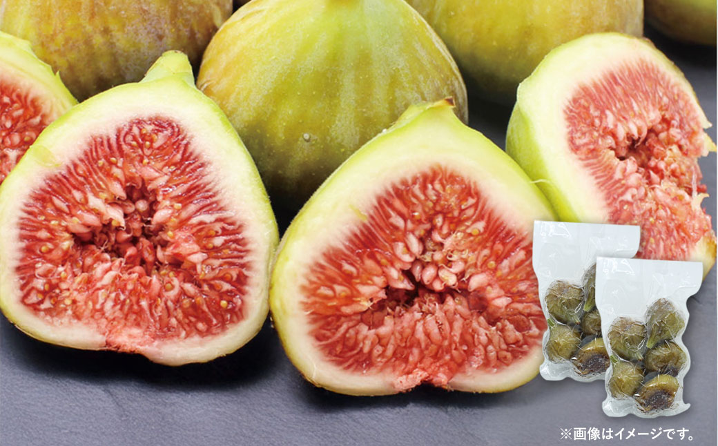 【訳あり】 冷凍いちじく 「とよみつひめ」 1kg （500g×2袋） ／ いちじく イチジク 果物 果実 フルーツ 冷凍フルーツ 冷凍