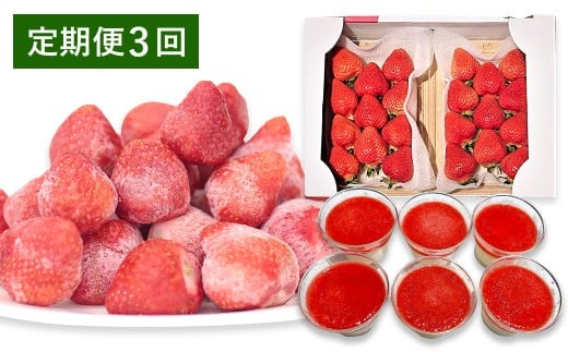 【予約受付・3回定期便】 あまおう 贅沢セット No2 冷凍あまおう あまおうレアチーズケーキ フルーツ 果物【2026年3月上旬～7月下旬発送予定】