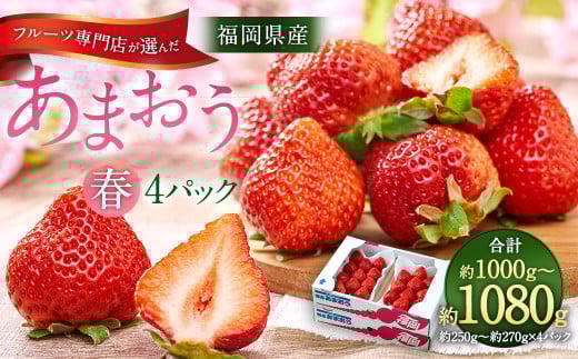 福岡産【春】 フルーツ専門店が選んだ あまおう 4パック いちご 苺 果物 フルーツ 福岡 太宰府【2026年2月上旬～3月下旬発送予定】