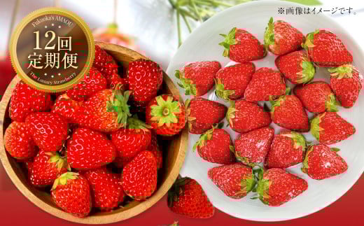 【12ヶ月定期便】 【いちごの年間定期便】 福岡県産あまおう （フレッシュあまおう・冷凍あまおう） いちご イチゴ 冷凍いちご あまおう 冷凍あまおう 果物 くだもの 国産 福岡県産 定期便 冷蔵 冷凍