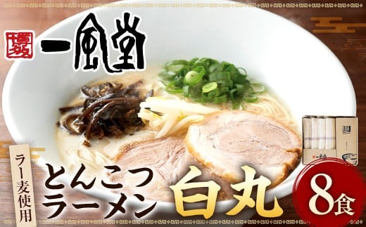 ラー麦使用「一風堂」とんこつラーメン 白丸（8食）