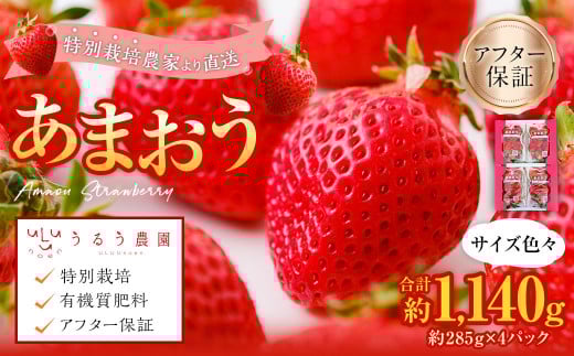 うるう農園 あまおう サイズ色々 4パック