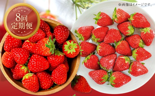 【8回定期便】 【いちごの定期便】 福岡県産あまおう （フレッシュあまおう・冷凍あまおう） 【2026年1月上旬～9月下旬発送】 いちご イチゴ 冷凍いちご あまおう 冷凍あまおう 果物 くだもの 国産 福岡県産 定期便 冷蔵 冷凍