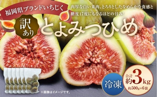 【訳あり】 冷凍いちじく 「とよみつひめ」 3kg （500g×6袋） ／ いちじく イチジク 果物 果実 フルーツ 冷凍フルーツ 冷凍