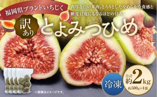 【訳あり】 冷凍いちじく 「とよみつひめ」 2kg （500g×4袋） ／ いちじく イチジク 果物 果実 フルーツ 冷凍フルーツ 冷凍
