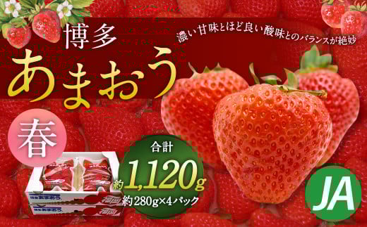 博多 あまおう 4パック（春）【2026年2月上旬～4月下旬発送予定】
