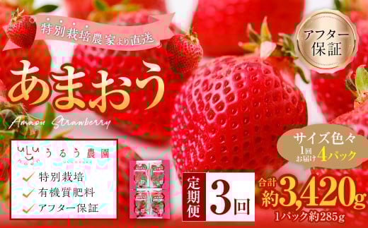 【3回定期便】 うるう農園のあまおう サイズ色々4パック （計約1140g） 【2026年2月上旬～4月下旬発送予定】 あまおう いちご 苺 果物 フルーツ 定期便 冷蔵 福岡県 太宰府