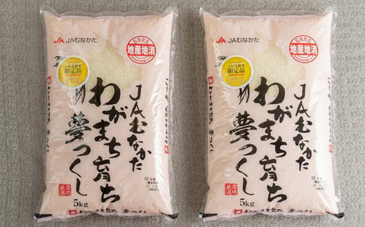 令和6年産】福岡の美味しいお米 夢つくし 5kg×2袋 合計10kg 精米 お米 米 ブランド米 福岡県産 国産: 太宰府市ANAのふるさと納税