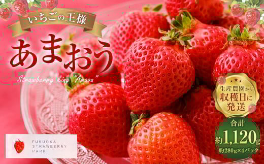 【3月～4月発送】いちごの王様 あまおう 約280g×4パック 約1120g【2026年3月上旬～2026年4月上旬発送予定】 いちご イチゴ 苺 フルーツ