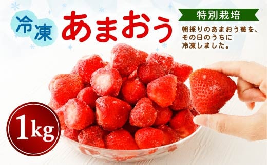 【特別栽培】うるう農園 冷凍あまおう 1kg