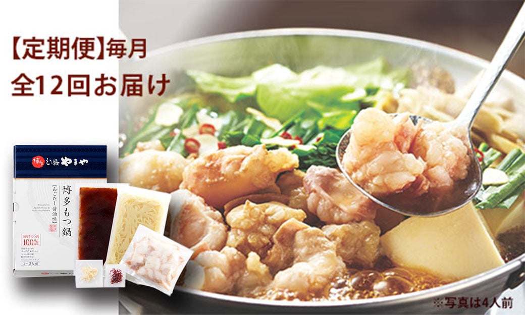 【定期便 年12回】 やまや 博多もつ鍋 あごだし醤油味 1～2人前