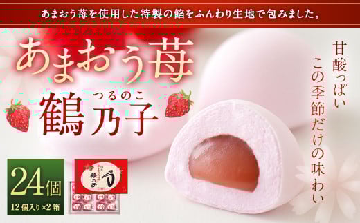 【季節限定】あまおう 苺鶴乃子 24個入（12個入×2箱）和菓子 苺 箱入り 太宰府市 あん あんこ 餡