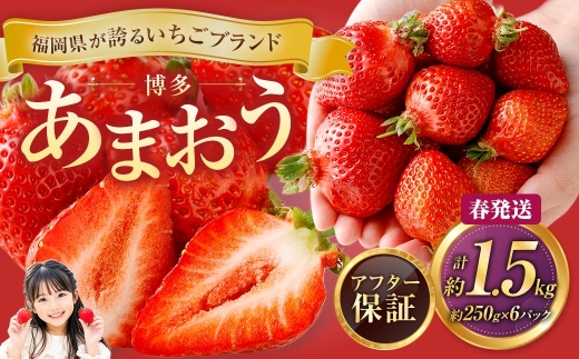 博多あまおう6パック（春）