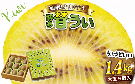 福岡県ブランドキウイフルーツ「 博多甘うぃ 」 化粧箱 大玉 9玉 約1.4kg 【2024年11月上旬～下旬発送予定】